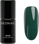 NEONAIL Glacial Glow géles körömlakk árnyalat Green Aurora 7.2 ml
