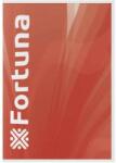 Fortuna Füzet FORTUNA A/4 32 lapos 87-32 kockás (VL01-01713)
