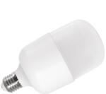 2R LED CAP T80 E27 20W 4000K fényforrás (LED CAP T80 E27 20W 4000K) - nyomtassingyen
