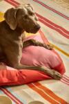 Calma House Кучешка възглавница Buby L (BUBY.CS90.ROS)