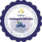 IceMan Gelato Darabos áfonya variegato paszta IceMan 200 g