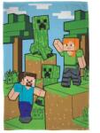 Microsoft Minecraft Steve és Alex pléd (5904209604579)