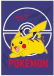 Nintendo Pokémon takaró - puha polár
