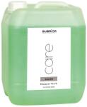 Subrina Care Salon birschalma sampon, 5 l - hajvarazs