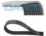 DAYCO Curea transmisie cu caneluri DAYCO 10PK2450HD (10PK2450HD)