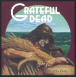 The Grateful Dead - Wake Of The Flood (Anniversary Edition) (180 g) (LP) (<![CDATA[0603497833849]]>)