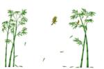 Original Deals dekoratív matrica bútorokhoz és falhoz, bambusznövények és kolibri, 295 x 165 cm (22AGL1089)