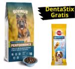 DIVINUS Divinus Performance dla owczarka niemieckiego 10kg + DentaStix przysmak dentystyczny GRATIS ! !