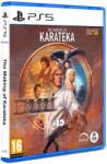 Digital Eclipse The Making of Karateka (PS5)