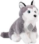 Amek Toys Jucărie de pluș Amek Toys - Husky cu medalion, 28 cm (10255)