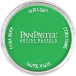 PanPastel Artists’ Szárazpasztell 640.5 Permanent Green 1 db (8026405-1)