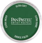 PanPastel Artists’ Сух пастел 640.1 Permanent Green Extra Dark 1 бр (<![CDATA[8026401-1]]>)