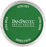 PanPastel Artists’ Pastel uscat 640.3 Permanent Green Shade 1 buc (8026403-1)