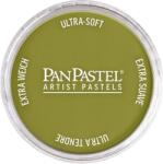 PanPastel Artists’ Сух пастел 680.3 Bright Yellow Green Shade 1 бр (<![CDATA[8026803-1]]>)
