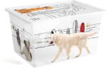 KIS Cutie de depozitare albă din plastic cu capac 55x39x31 cm C Box Style - KIS