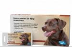  Bioveta 10 x Fiprin spot dog L (20-40 kg), 2.68 ml