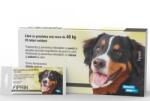  Bioveta 10 x Fiprin spot dog XL (>40 kg), 4.02 ml