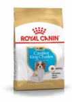 Royal Canin Cavalier King Charles kiskutya 1, 5 kg