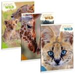 Ars Una Füzet vonalas ARS UNA A/4 40 lapos Extra kapcsos Icons of the Wild (53114921) - tonerpiac