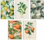  Füzet Summer Harvest Club A5/60 lap vonalas, soft touch fóliával (400182443)