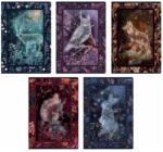  Füzet Fairy Tail Story A5/60 lap kockás, soft touch fóliával (400182429)