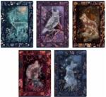  Füzet Fairy Tail Story A5/60 lap vonalas, soft touch fóliával (400182441)