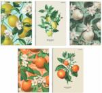  Füzet Summer Harvest Club A5/60 lap kockás, soft touch fóliával (400181620)