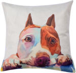 Clayre & Eef Set 2 fete perne poliester multicolor Catelus 43x43 cm (KT021.236)