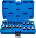 BGS technic Set biti 6, 3 mm (1/4") 12, 5 mm (1/2") Profil T (pentru Torx) 18 piese, BGS 5173 (B-5173) Set capete bit, chei tubulare