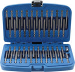 BGS technic Biti pentru suruburi securizate, 50 piese, BGS 757 (B-757) Set capete bit, chei tubulare