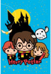  Harry Potter Chibi Wizards polár takaró 100x150cm (HAX602766)