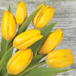 Javoli Sárga tulipán On Wood szalvéta 20 db-os 33x33 cm (PKK028647)