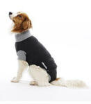 EasyGo Body Dog 41cm S BUSTER