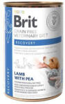 Brit VD Dog+Cat GF konz Recovery 400g