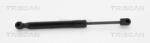 TRISCAN Amortizor capota TRISCAN 8710 11126 (8710 11126) - fixbox