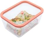 Status Viva boroszilikát üveg vákuumtároló edzett üveg tetővel ( Lazac, 2, 6 l )