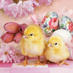 POL-MAK Húsvét Lovely Chickens szalvéta 20 db-os 33x33 cm PKK029750 (PKK029750)