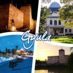 Ajándékgyár Plexi hűtőmágnes Gyula 57x57mm - Vár*2, Almásy Kastély, Szökőkút (MM04)