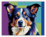  Neon Színű Border Collie - számfestő készlet