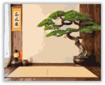  Bonsai és Zen Kalligráfia - számfestő készlet