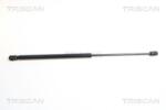 TRISCAN Amortizor capota TRISCAN 8710 65102 (8710 65102) - automobilus