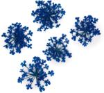 Xdeep Beauty Flori uscate pentru decorarea unghiilor Royal Blue 5 buc