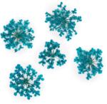 Xdeep Beauty Flori uscate pentru decorarea unghiilor Turquoise 5 buc
