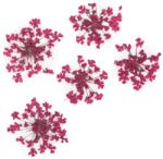 Xdeep Beauty Flori uscate pentru decorarea unghiilor Fuchsia 5 buc