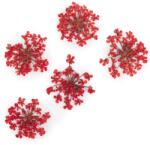 Xdeep Beauty Flori uscate pentru decorarea unghiilor Red 5 buc