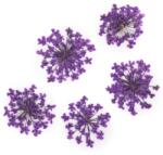 Xdeep Beauty Flori uscate pentru decorarea unghiilor Purple 5 buc