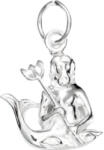 Flippy Pandantiv din Argint 925, 1.15 g, zodia Varsator (teo-05425)