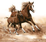 Javoli Lovas Mare with Foal szalvéta 20 db-os 33x33 cm (PKK021983)