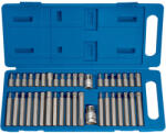 Draper Trusa de biti combinati, imbusuri, torxuri si m-uri 40pcs, Draper 33323 (D-33323) Set capete bit, chei tubulare