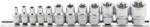 BGS technic Set tubulare E-uri, E4 - E20, antrenare 1/4" - 3/8", 12 piese, BGS 2038 (B-2038) Set capete bit, chei tubulare